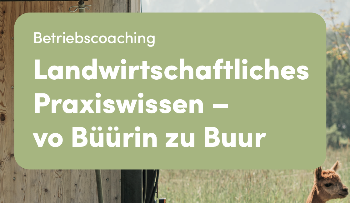 Betriebscoaching Angebot