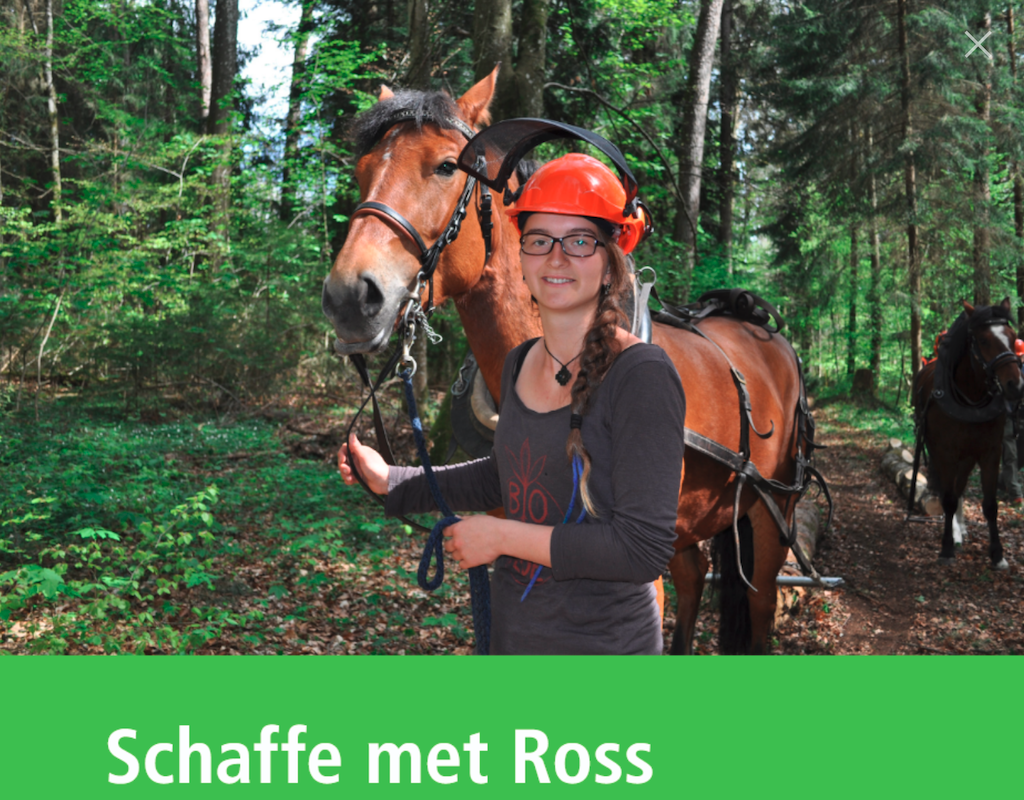 "Schaffe met Ross"
