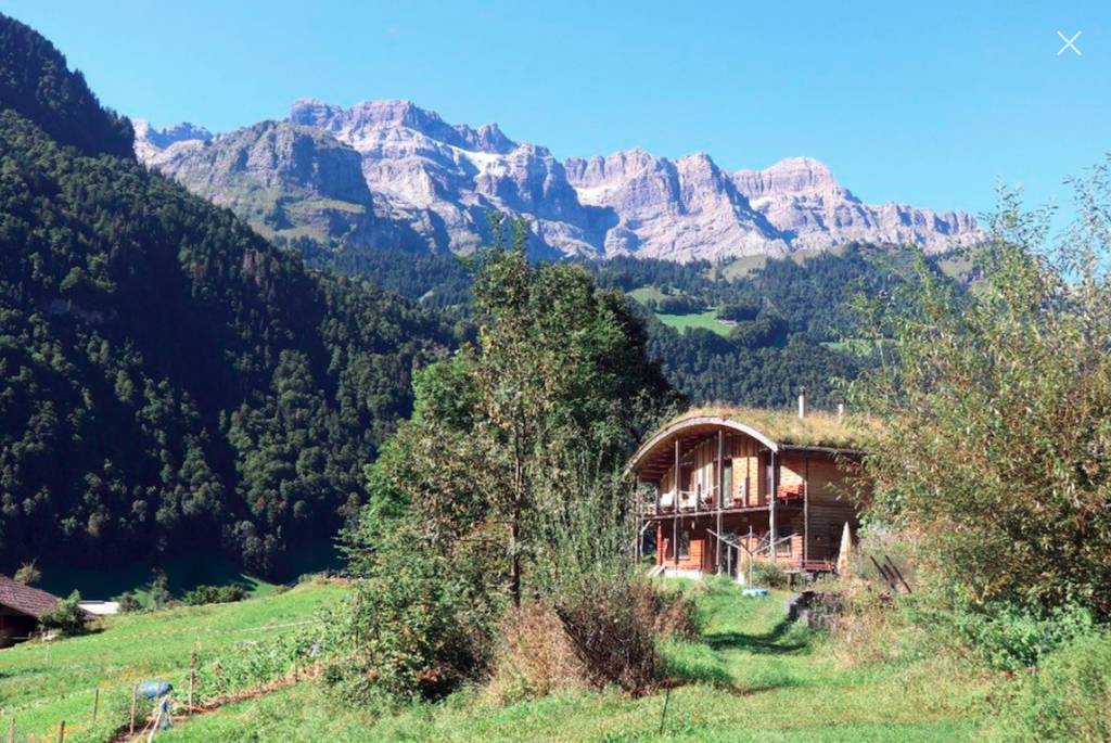 Grasdach: biodivers - isolierend - langlebig